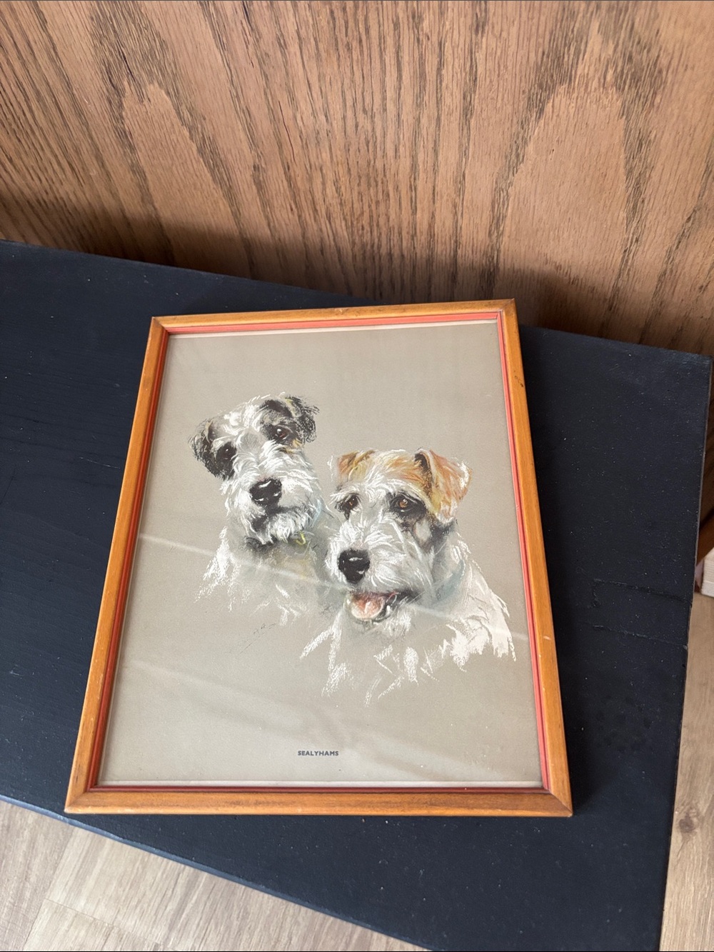 Vintage Sealyham Terrior Print